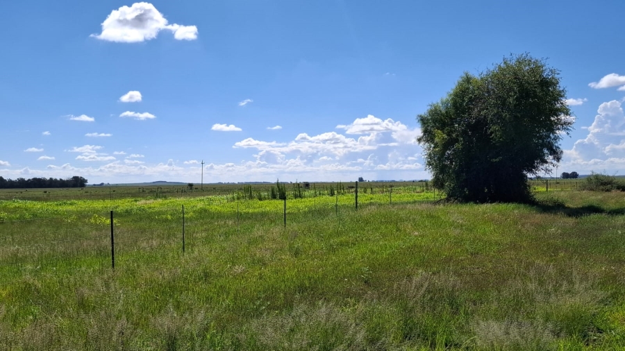  Bedroom Property for Sale in Bloemfontein Rural Free State